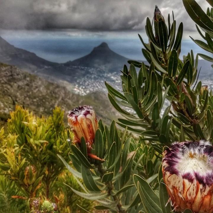 Da Heim Guest House Cape Town Luaran gambar